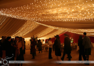 Elisha Services Limited Lighting  