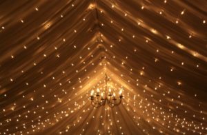 Elisha Services Limited Lighting  